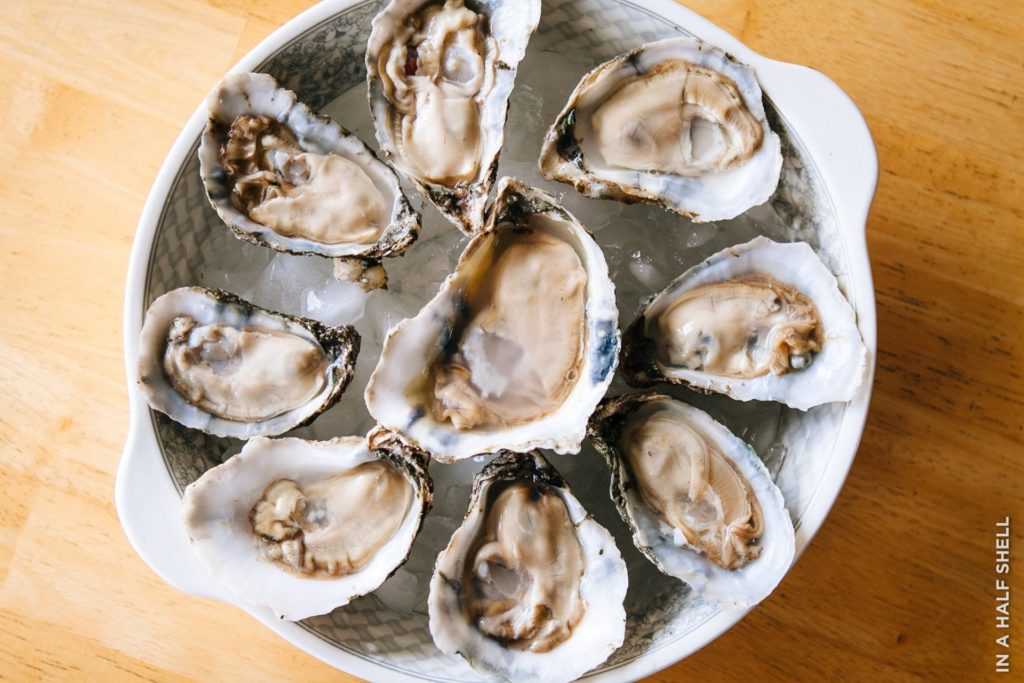 oysters